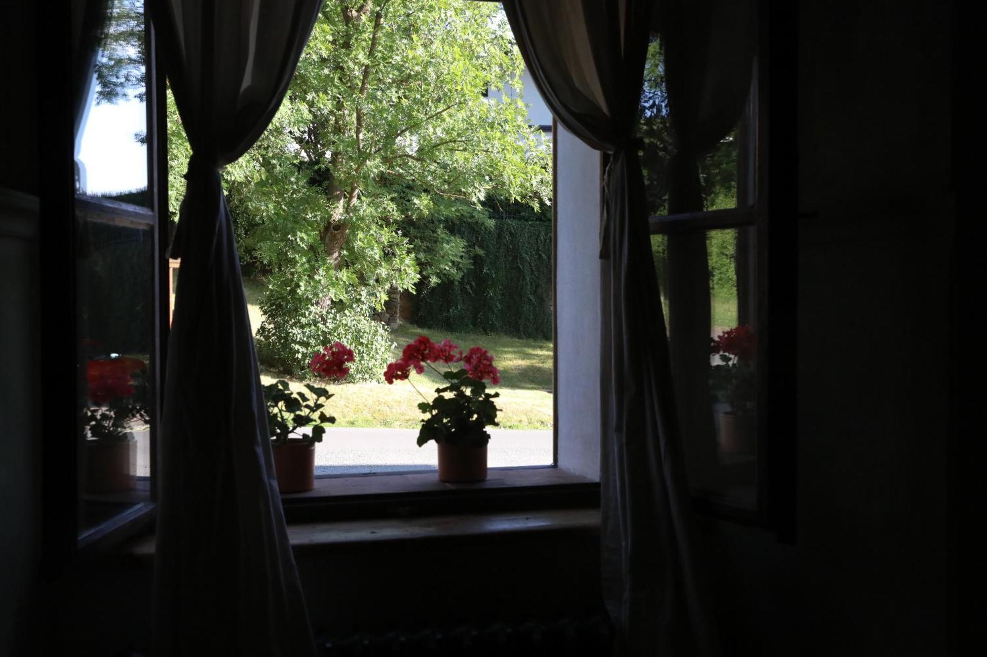 Historicke Apartmany Zelenohorska Posta Nepomuk 外观 照片